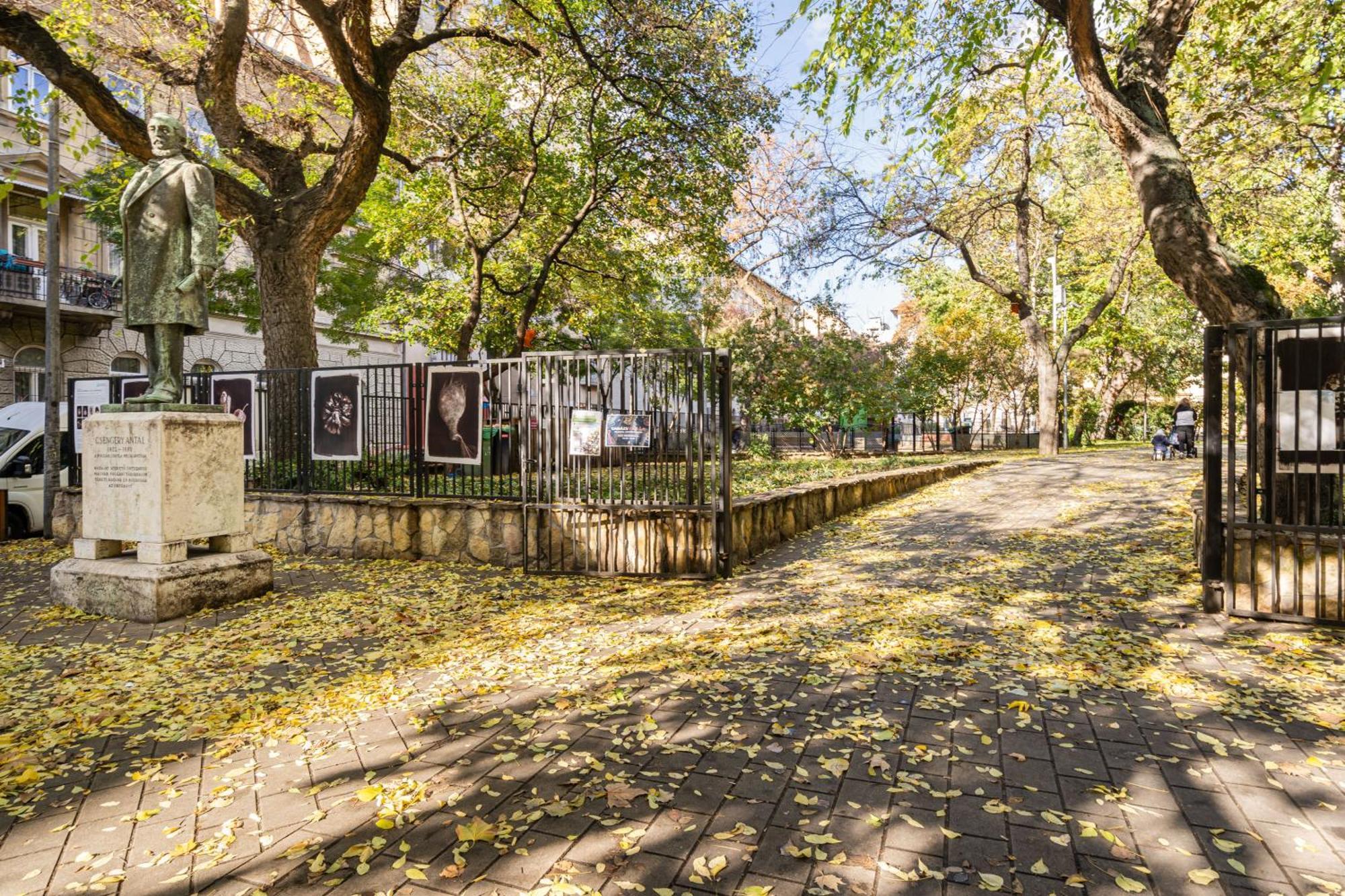 Myelegance Downtown Apartment Free Parking Budapest Eksteriør billede